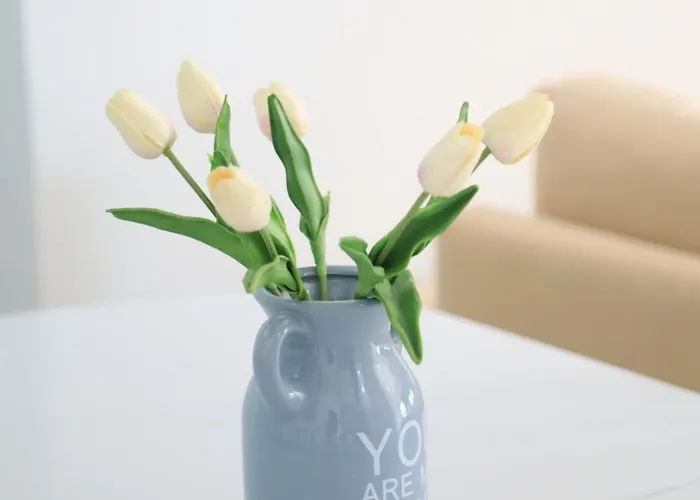 Gardenia Sarandë